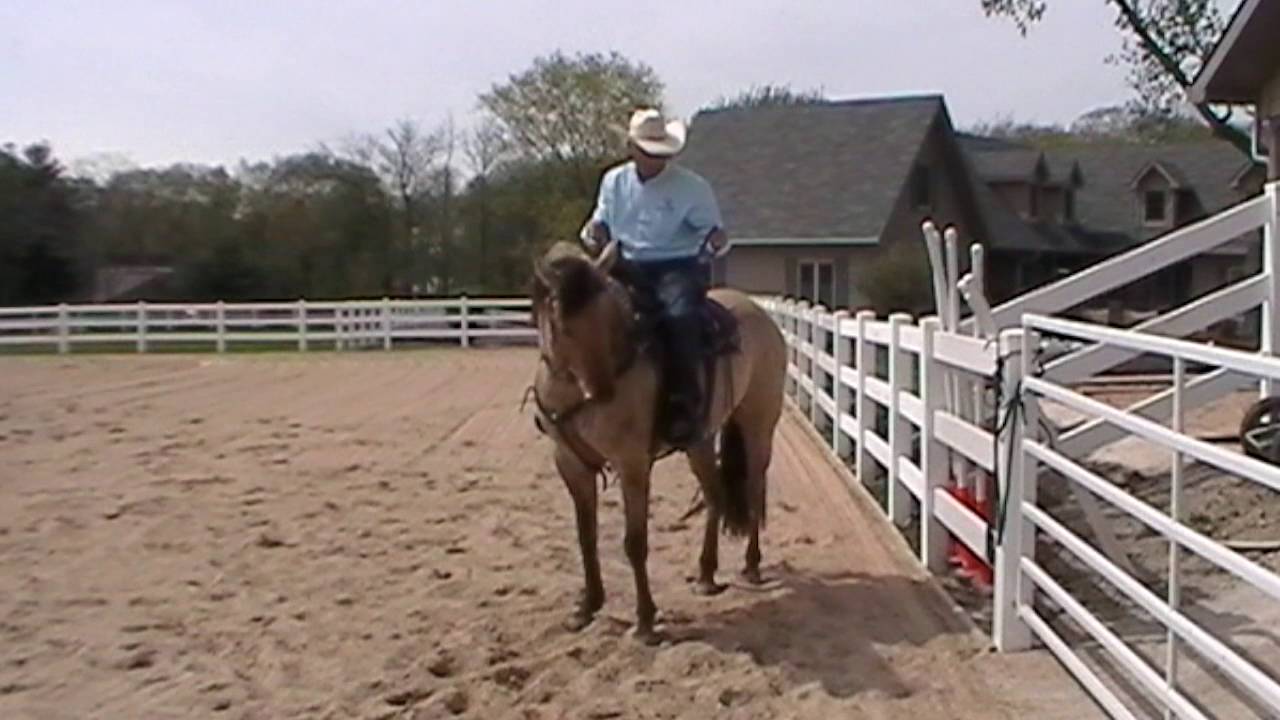 Dennis Cappel:Rollback Technique