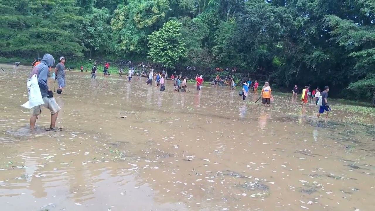 Kegiatan menangkap ikan, warga dusun sureng purwodadi tepus gunungkidul 
