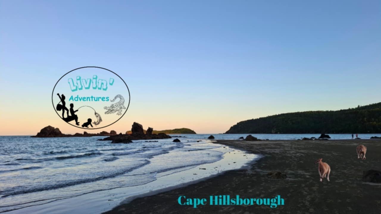 Cape Hillsborough ~ The final of our Fraser Island Adventure 
