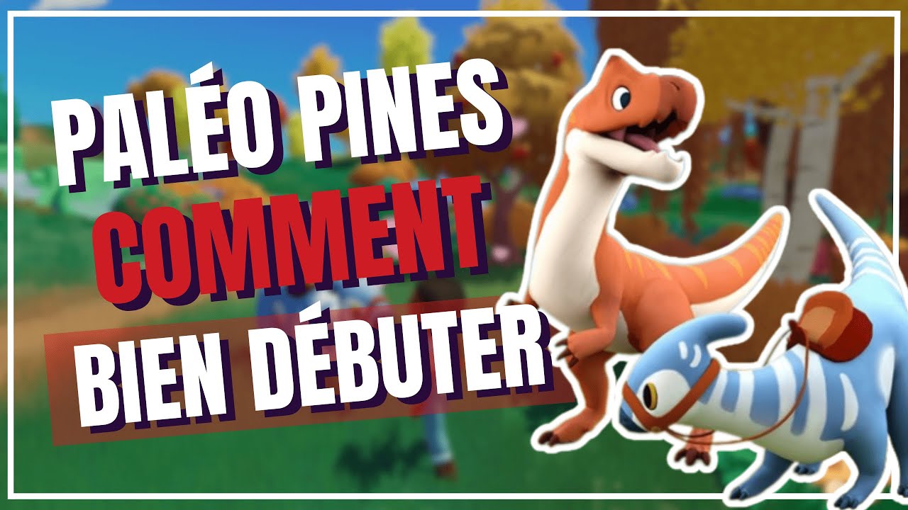 7 CONSEILS POUR DÉBUTER PALÉO PINES
