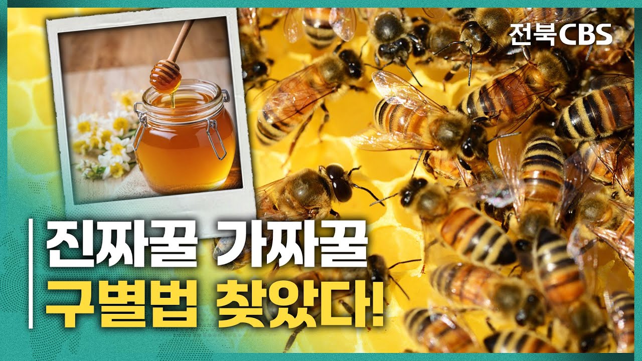 진짜꿀 가짜꿀 구별하는 방법 전세계 최초로 개발 성공한 국립농업과학원