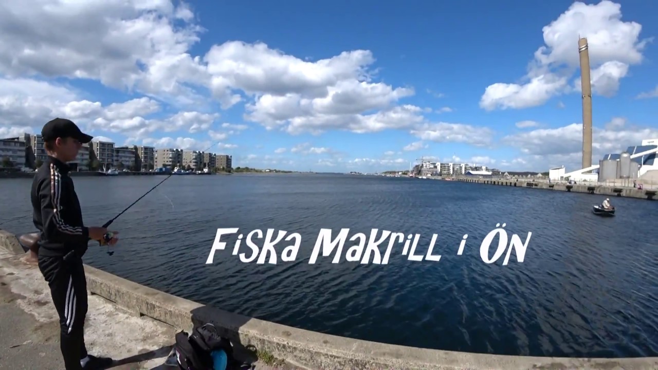 Makrillfiske i Ön Malmö (flötmete efter makrill) - Fiskare i Sverige