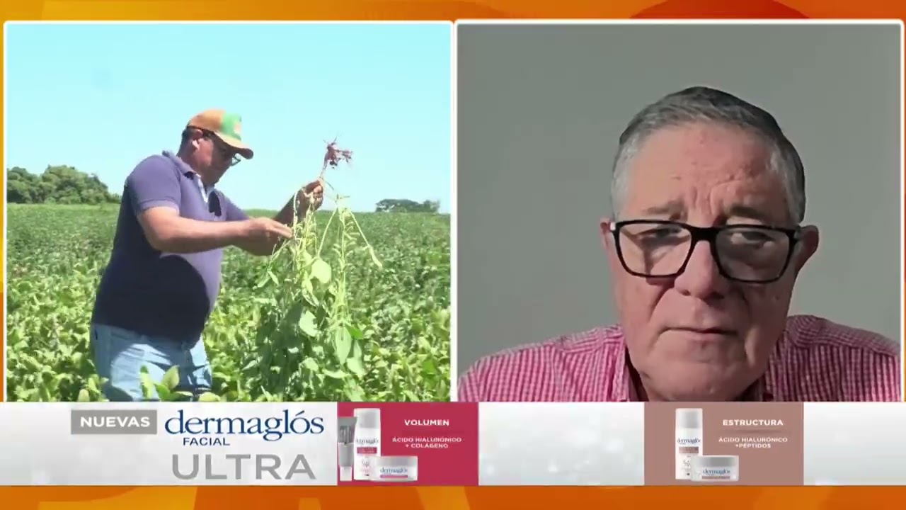 Desarrollo de la cosecha de soja a nivel país