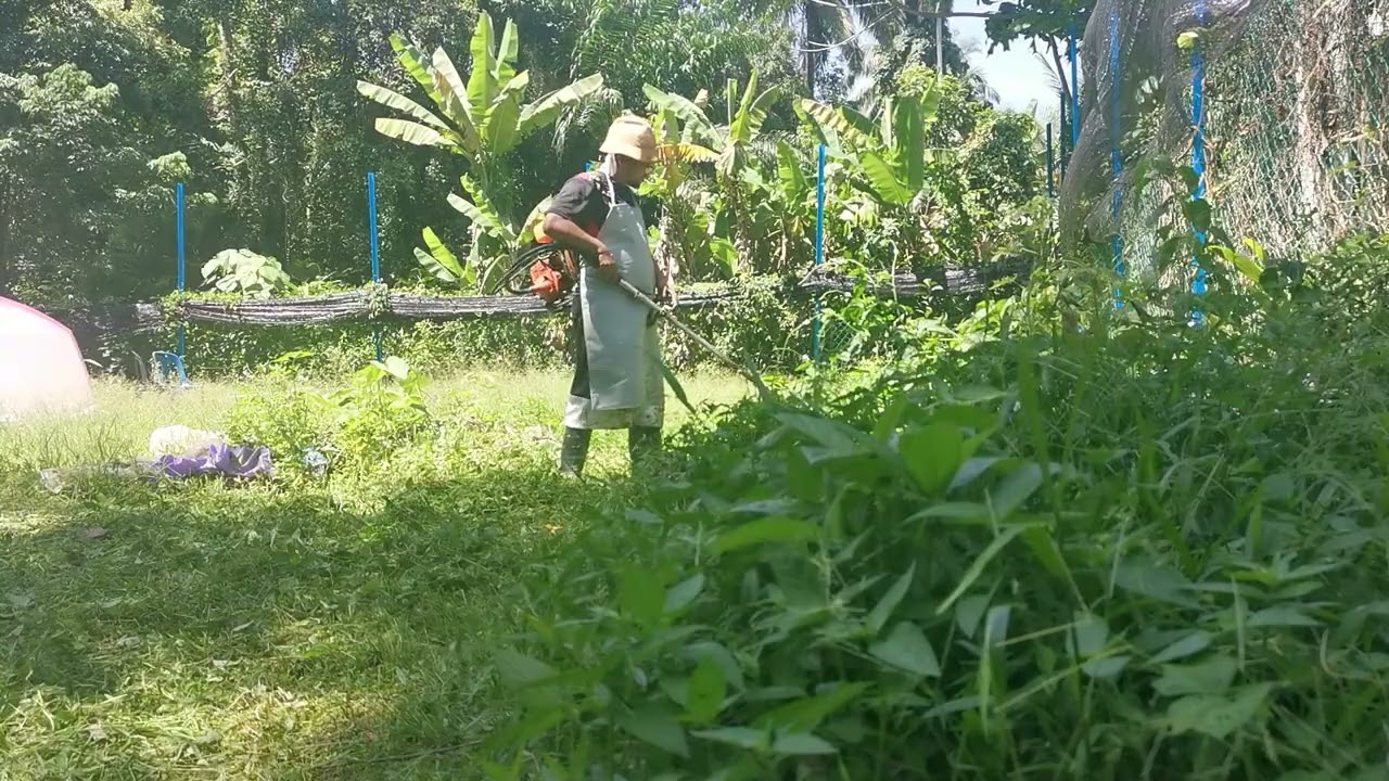 20220521 Kebun Danan - 21 MAY 2022