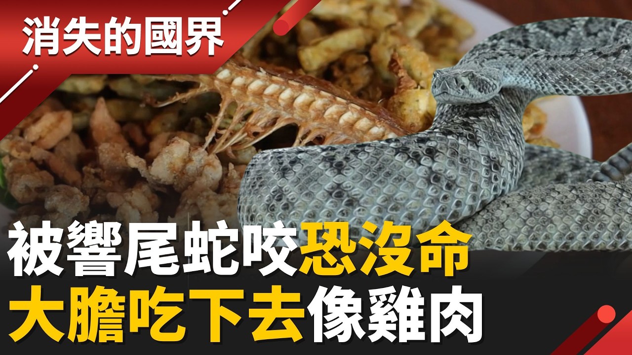前進亞利桑那”響尾蛇的故鄉” 毒蛇竄進家中成家常便飯！必吃料理”油炸響尾蛇” 其實比想像中好吃？│【消失的國界】20260215│三立新聞台
