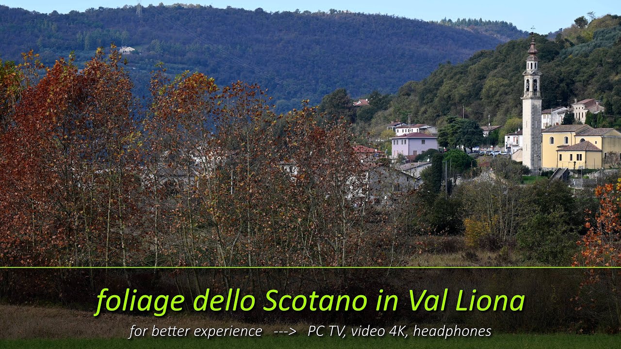 Foliage dello scotano in Val Liona nei Colli Berici - Vicenza, San Germano dei Berici e Campolongo