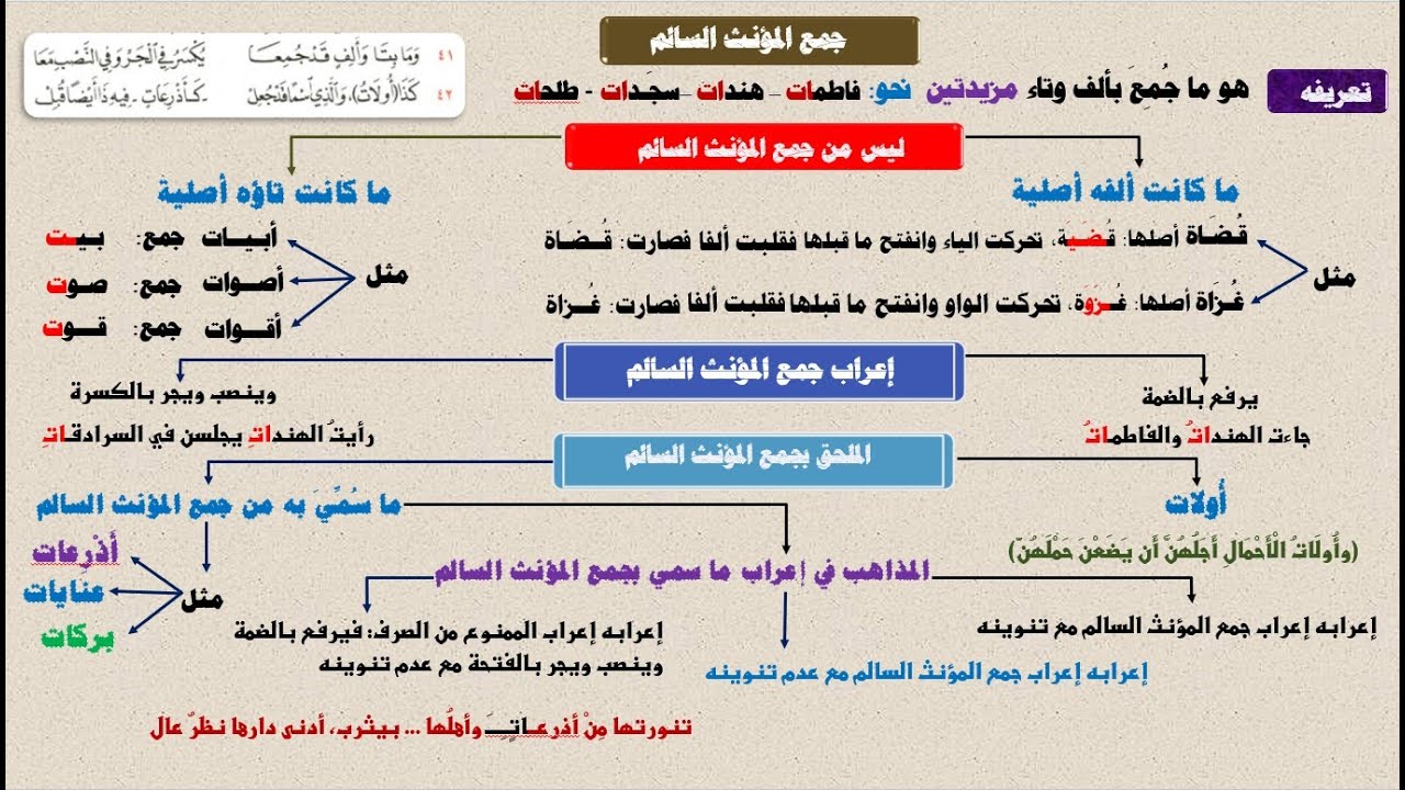 شرح ألفية ابن مالك | جمع المؤنث السالم | ما جمع بألف وتاء مزيدتين | الملحق بجمع المؤنث السالم | 13
