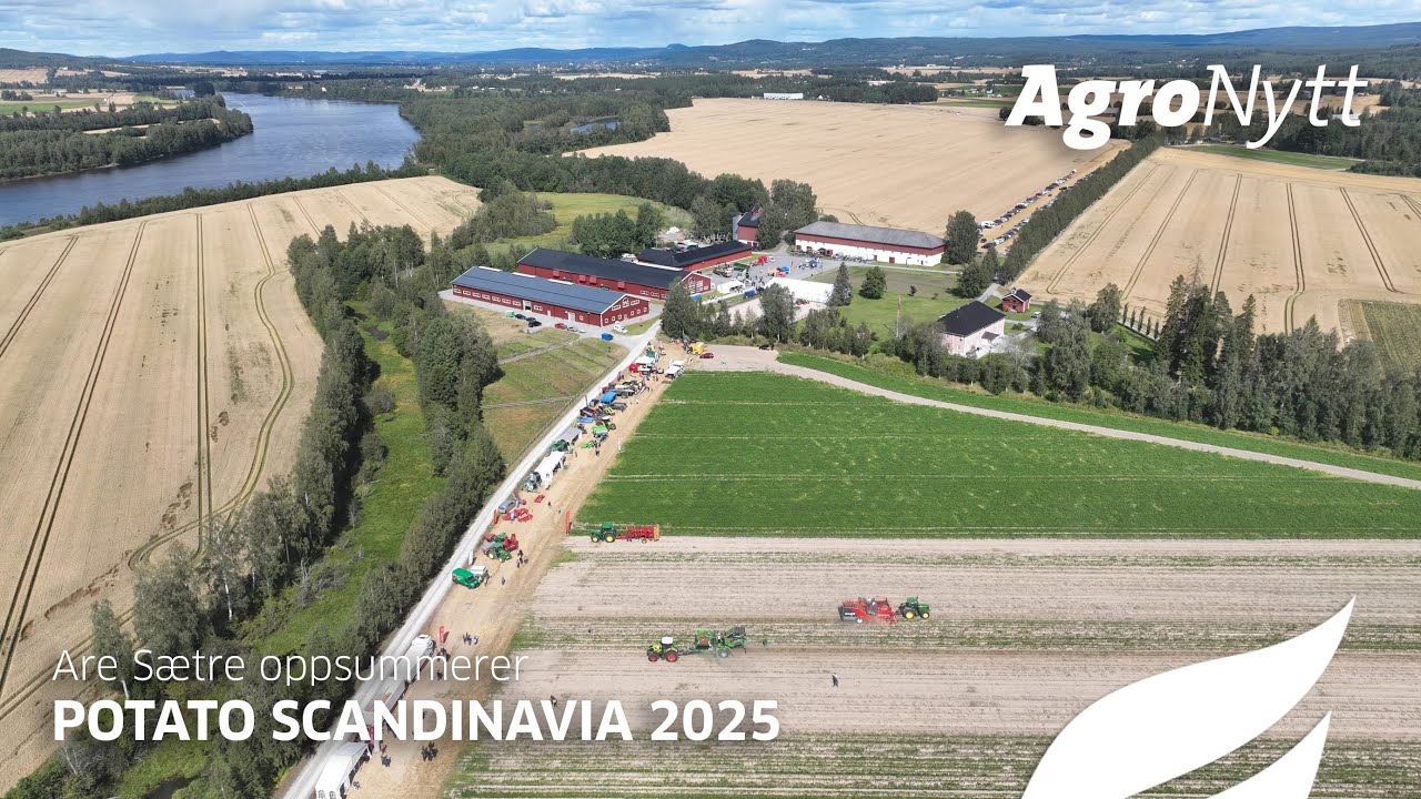 Potato Scandinavia 2025