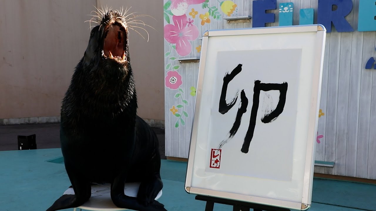 オタリアが書き初め練習