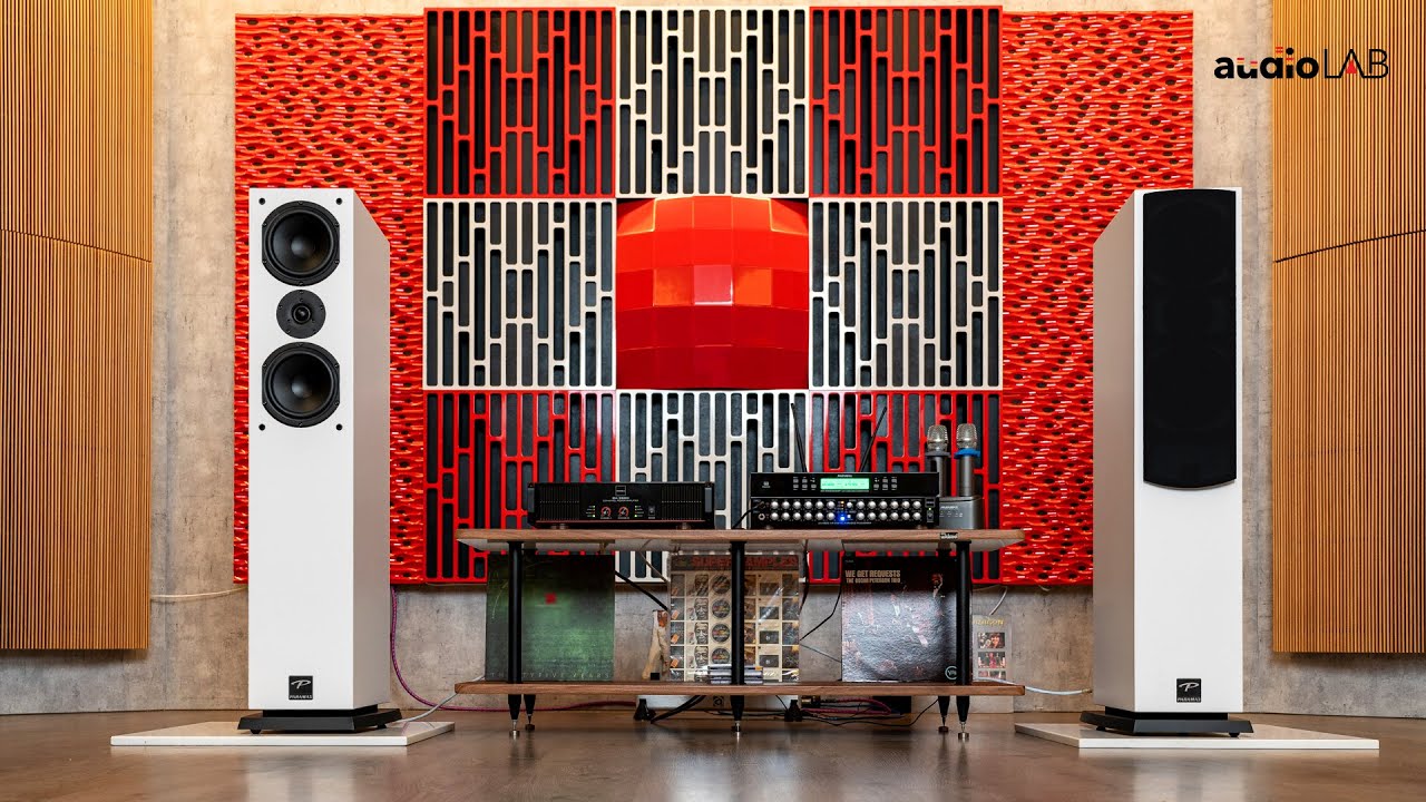 Review loa karaoke và nghe nhạc cao cấp PARAMAX D88 Luxury từ Audio Lab