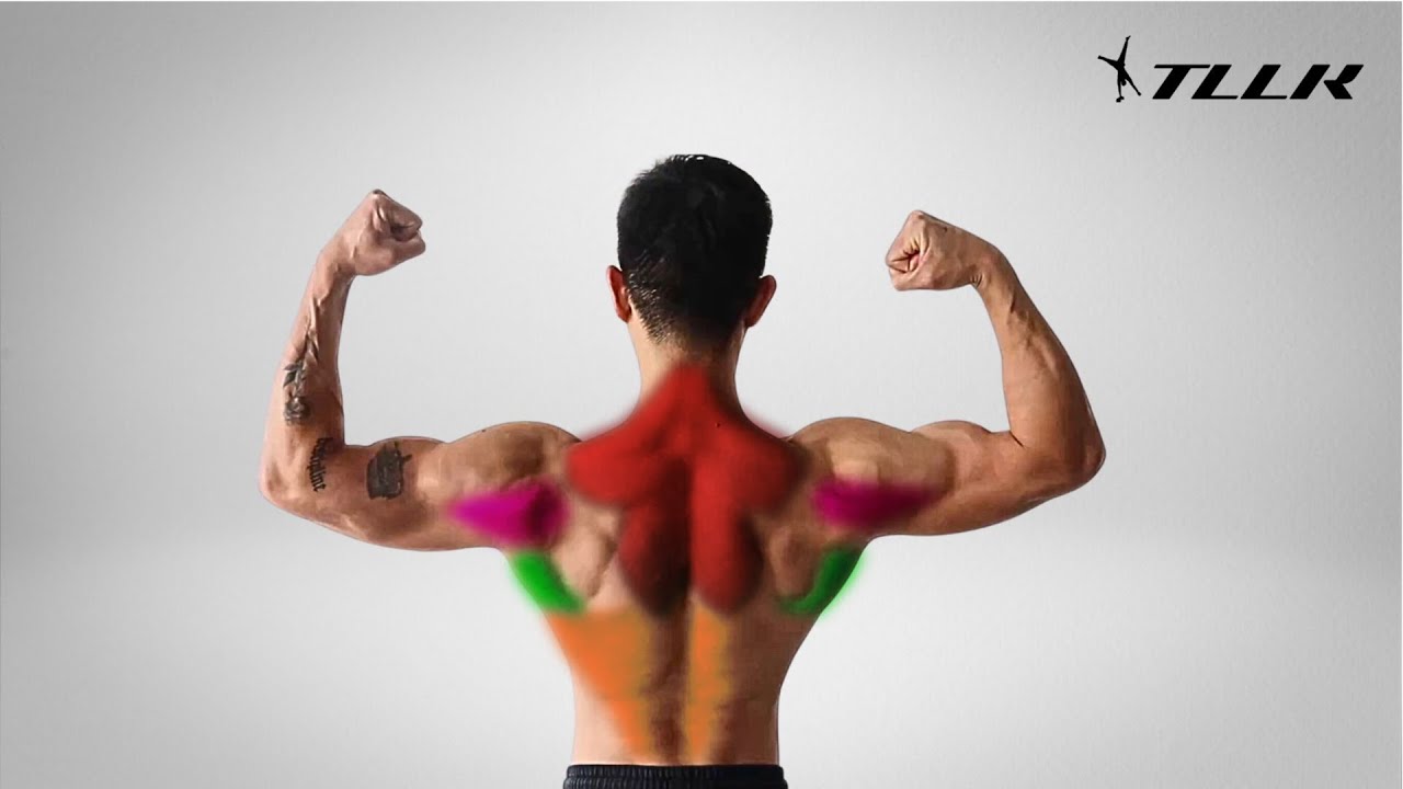 เล่นหลัง ฉบับ Calisthenics ยังไงให้ Detail ครบ  ลดเจ็บเพิ่มสกิล !