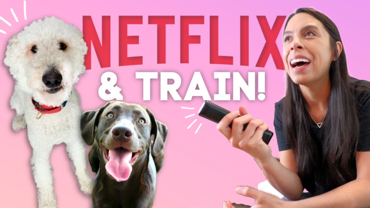 THE NETFLIX DOG TRAINING HACK 📺 Breaking the internet with Netflix & Train challenge 🐶