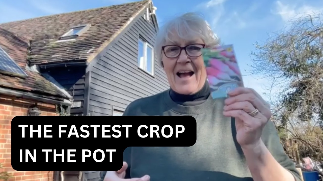 GAL Sow Radishes in March UK