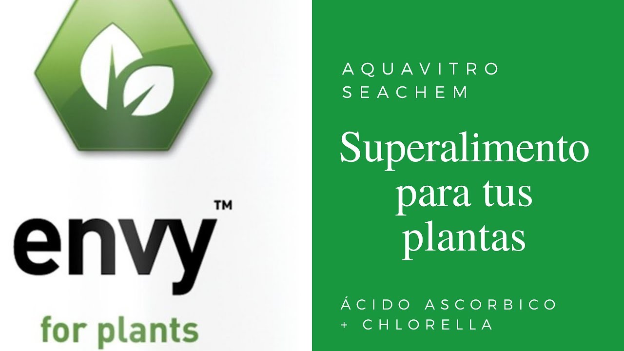 Qué es y para que se utiliza Envy Aquavitro Seachem || AQUASCAPELAND