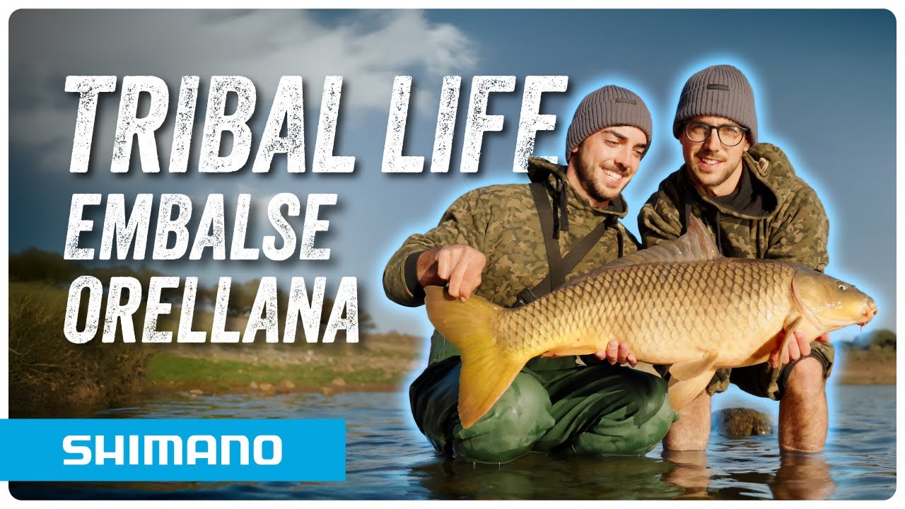 🔥 Tribal Life - Carpfishing en embalse de Orellana
