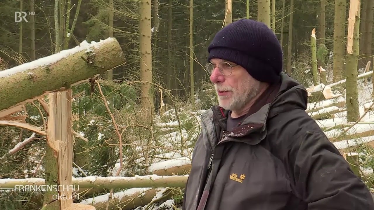 Unbekannter T&auml;ter s&auml;gt B&auml;ume im unterfr&auml;nkischen Wildflecken an | BR24