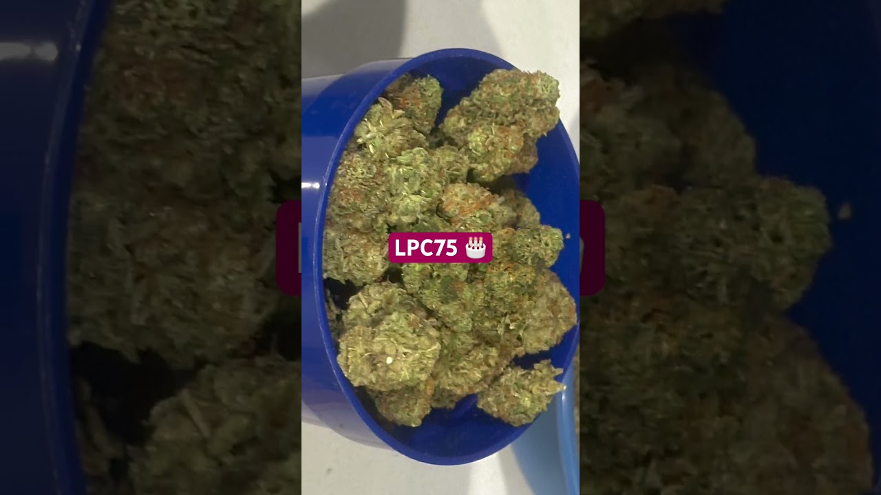 LPC75 (London Pound Cake 75)  ⚠️  347