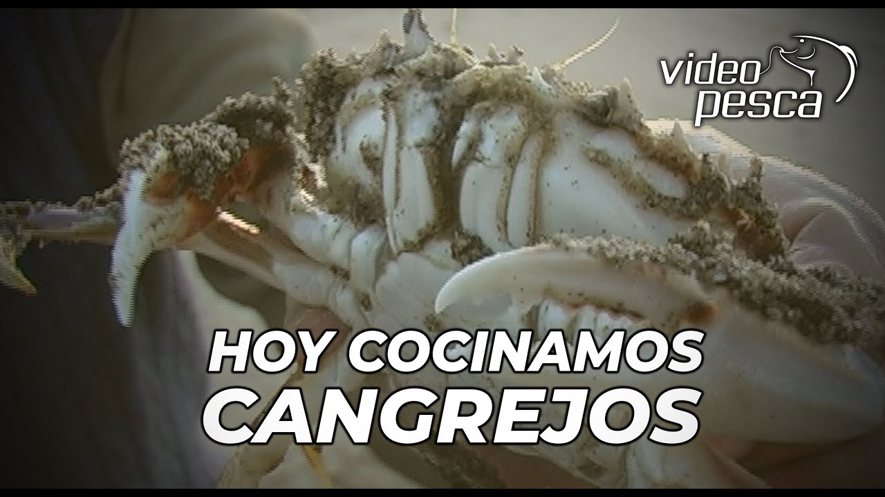 Hoy cocinamos Cangrejos (Crabs)