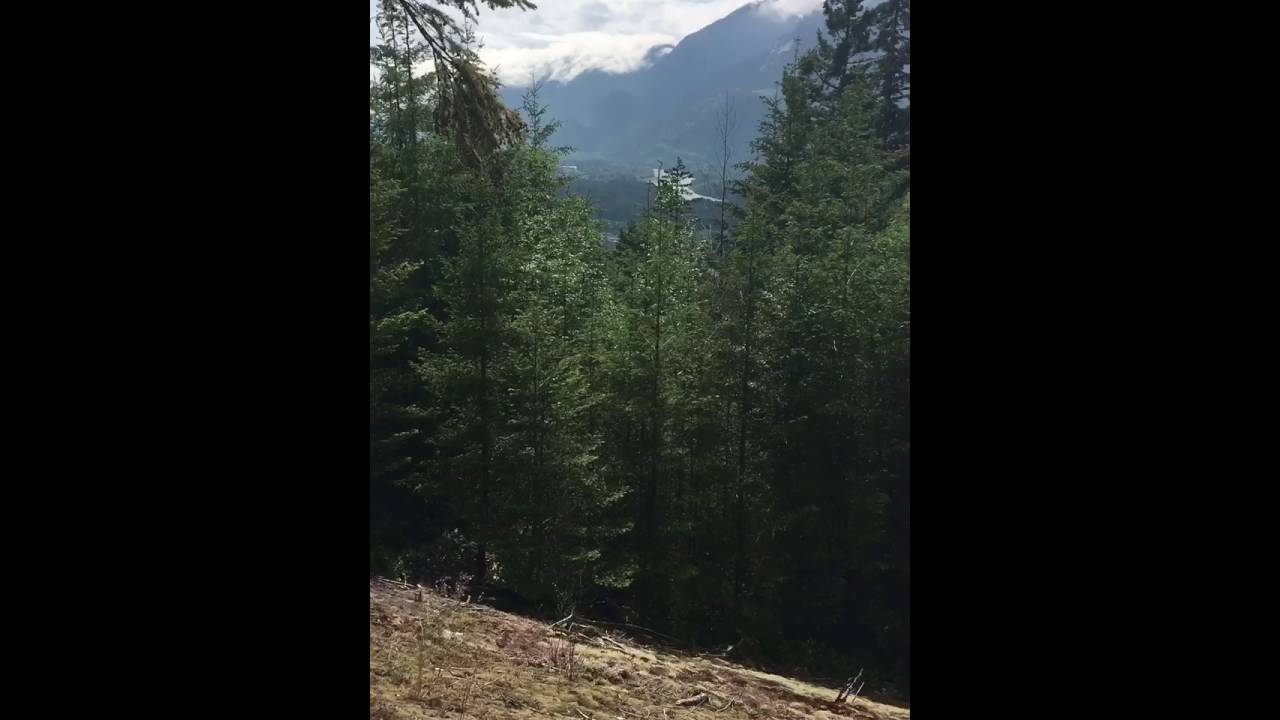 Dirk's Diggler - Squamish Rock Slab - May, 2016