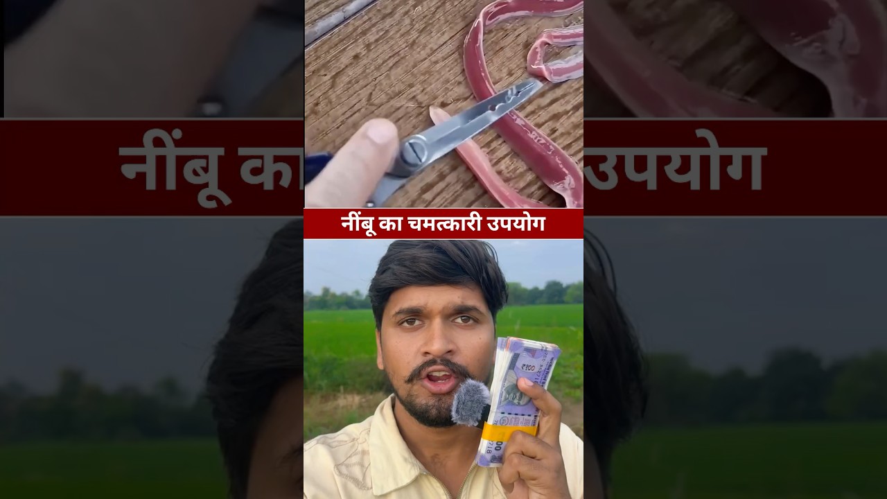 नीबू का चमत्कारी उपयोग😱 #informacje #education #shortsvideo