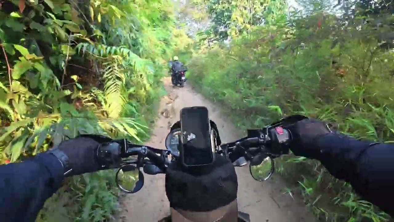 Yamaha PG1 layan Bukit Pau Kemensah