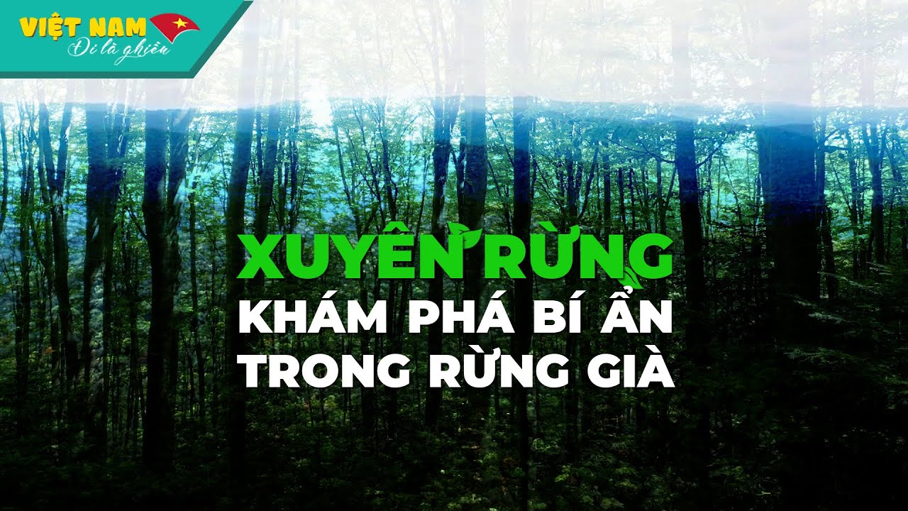 Chuyến thám hiểm khu bảo tồn thiên nhiên Kon Chư Răng | VIỆT NAM ĐI LÀ GHIỀN #49