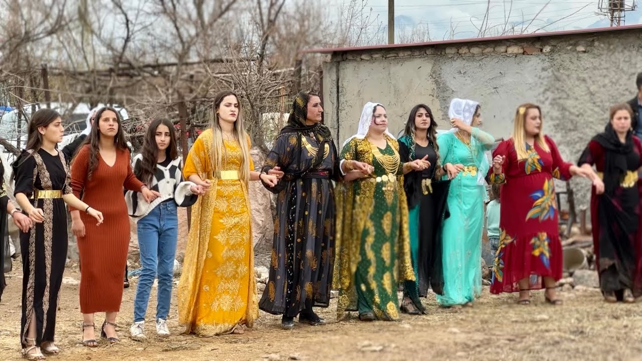 Osman İlhan Nişan Part.5 | Tayan  Aşireti | Çifşik köyü Bedru