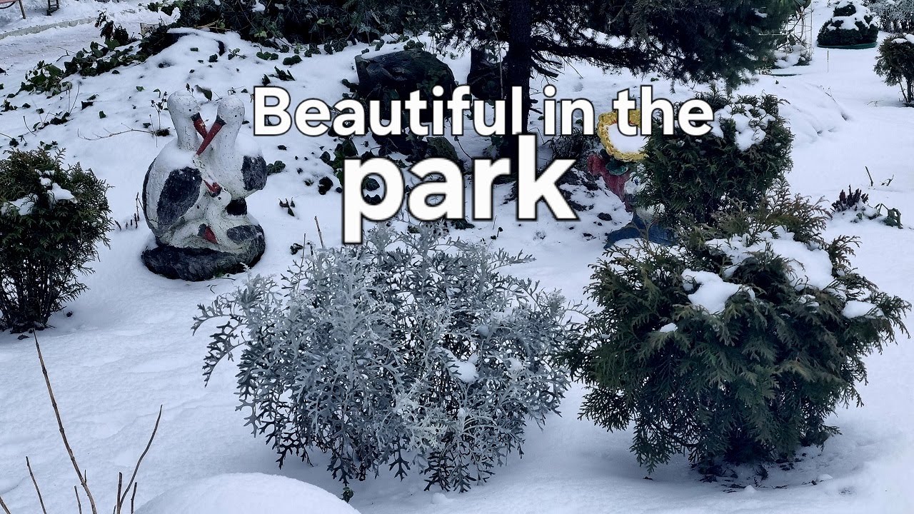 We relax with music in the winter park