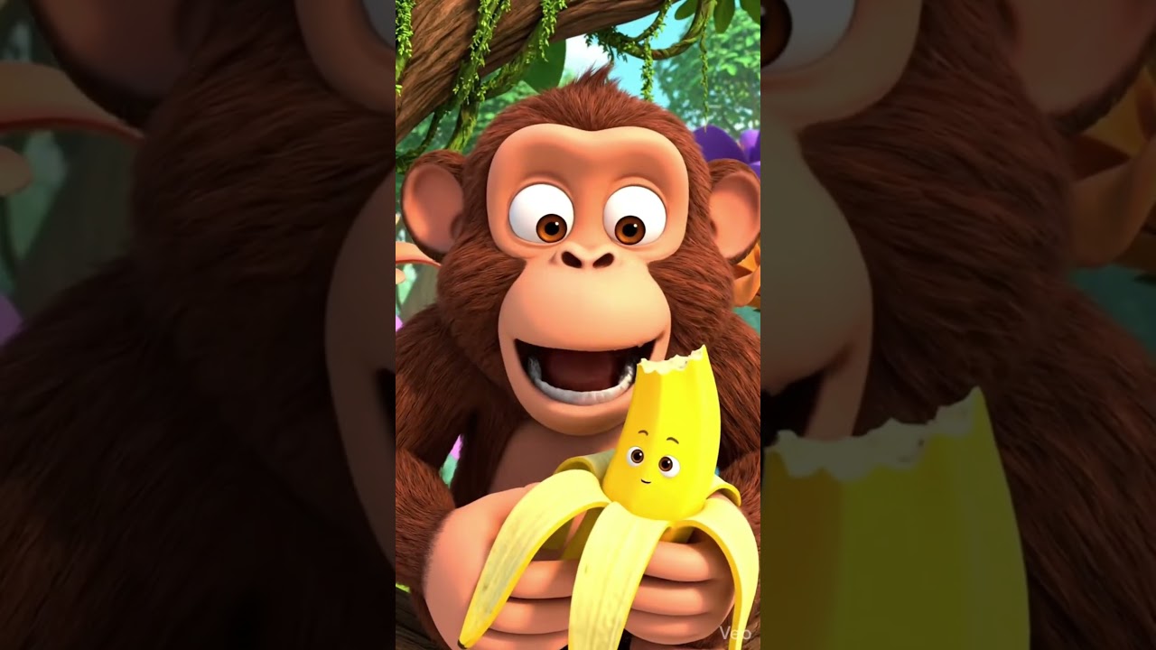 funny monkey
