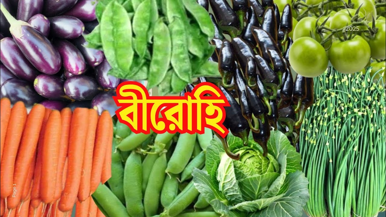 বিরোহী হাটে সবজির দাম আনেক সস্তা। Birohi Sabj Market। Wholesale Vegetable Market in Kolkata ।