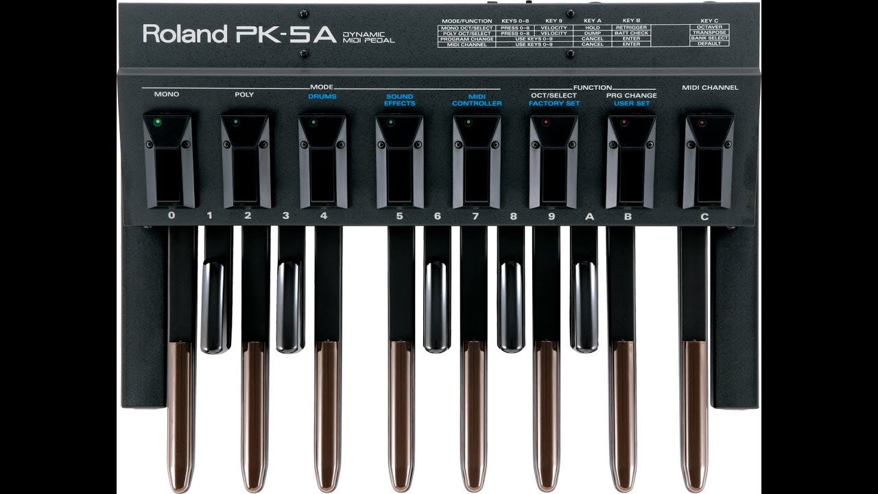 Roland PK-5A Dynamic MIDI Pedal