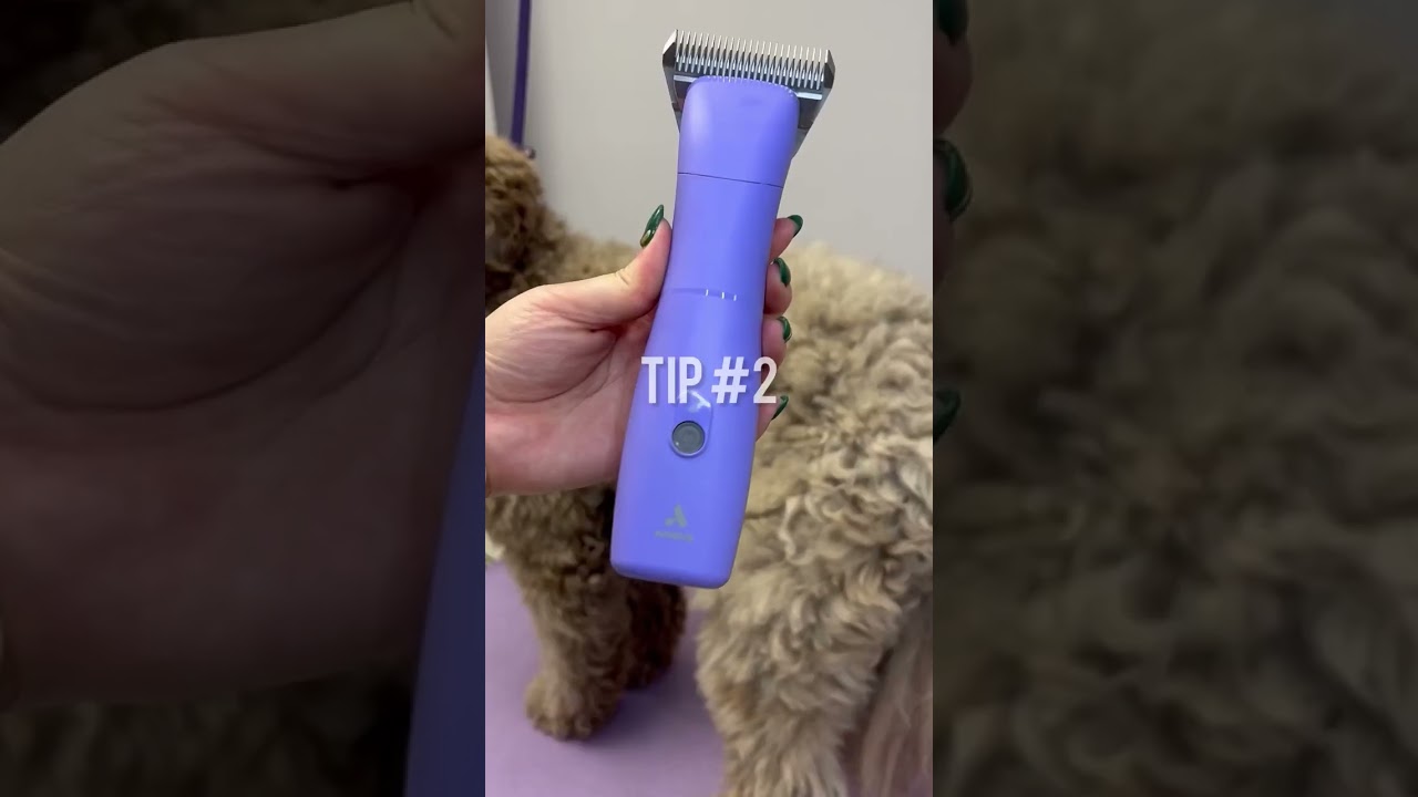 How to Avoid Clipper Lines in Dog Grooming