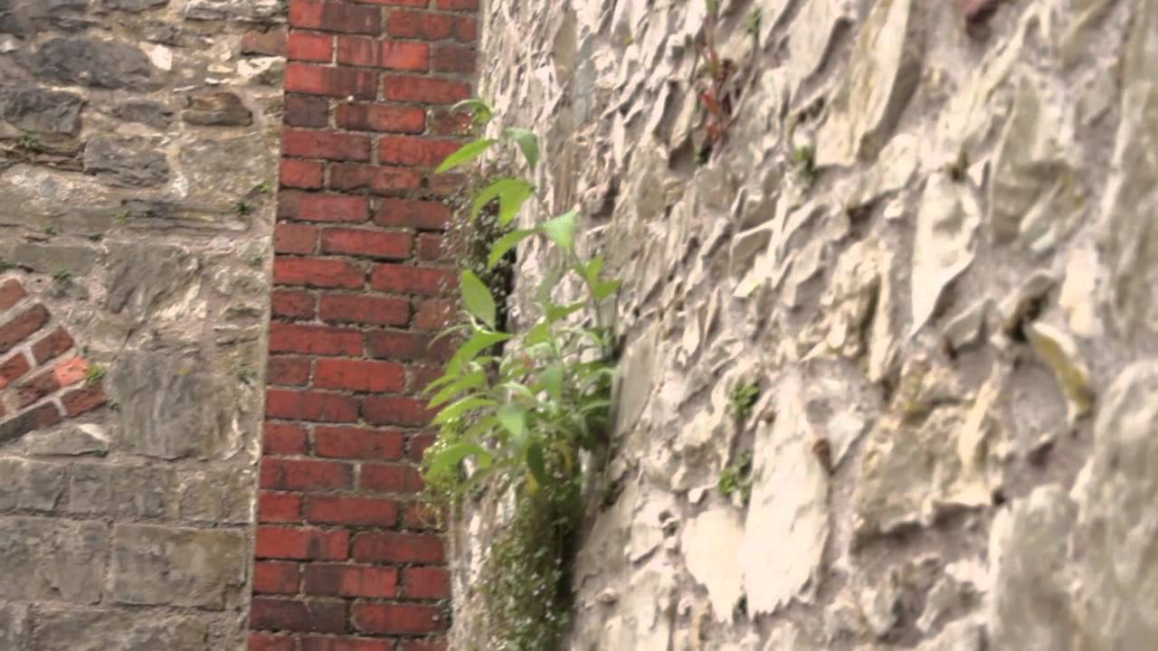 Elizabeth Fort - Urban Interventions Cork
