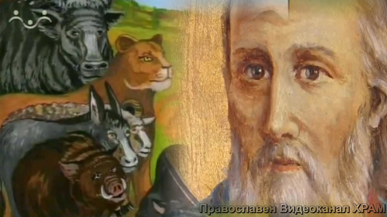 Свети ВЛАСИЙ- Покровителят на животните Благословението на Власий. Обещанието на Господа