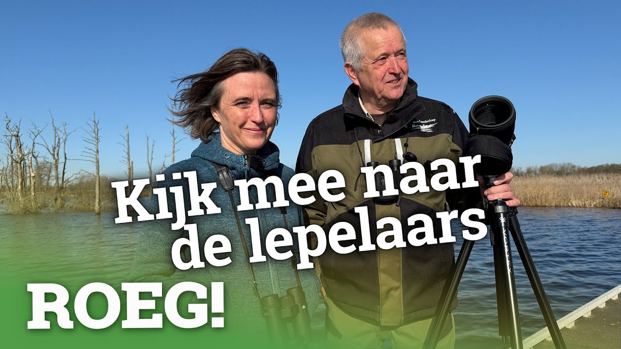 Paradijs voor vogels in Tusschenwater en Noordma | ROEG! Uitzending