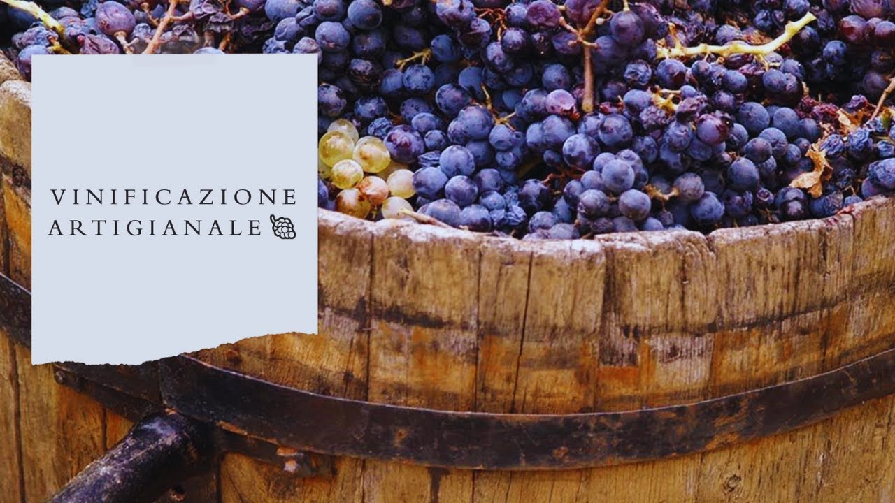 Processo di Vinificazione🍇 | Ecco come si fa il vino🍷!