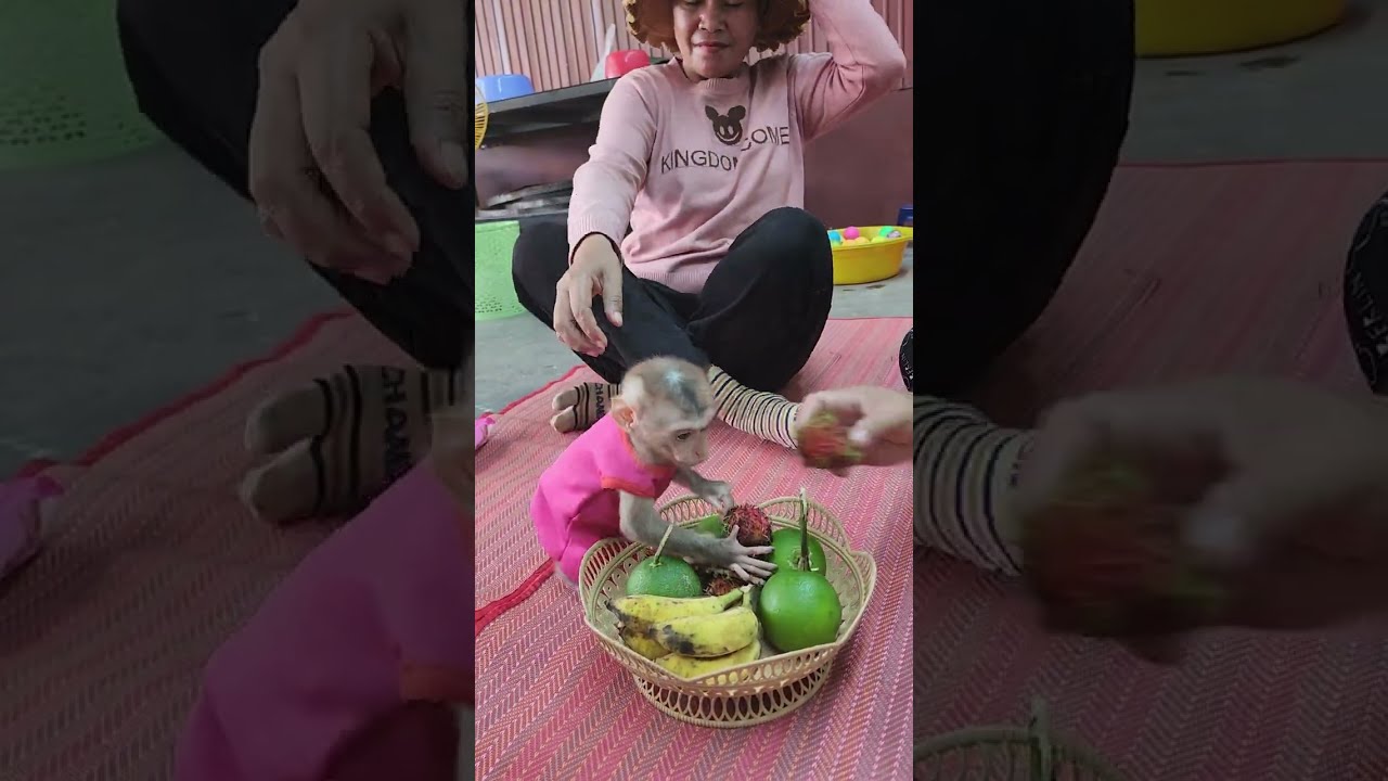 Creative Ways to Make Bath Time Playtime for Monkeys Juli and Yoyo