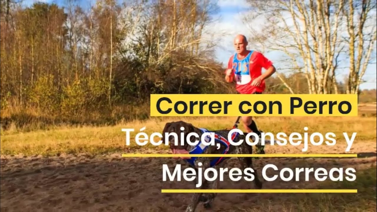 Correr con Perro: T&eacute;cnicas, consejos y mejores correas