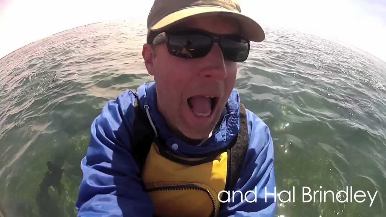 Kayaking With Cape Fur Seals in Walvis Bay, Namibia (with GoPro HD Hero2)