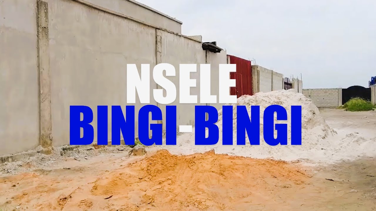 NSELE BINGI-BINGI
