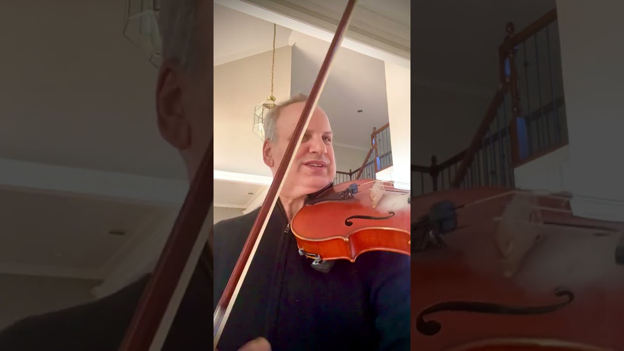 Hoffmeister Viola Concerto Mvt 1 master class tutorial.
