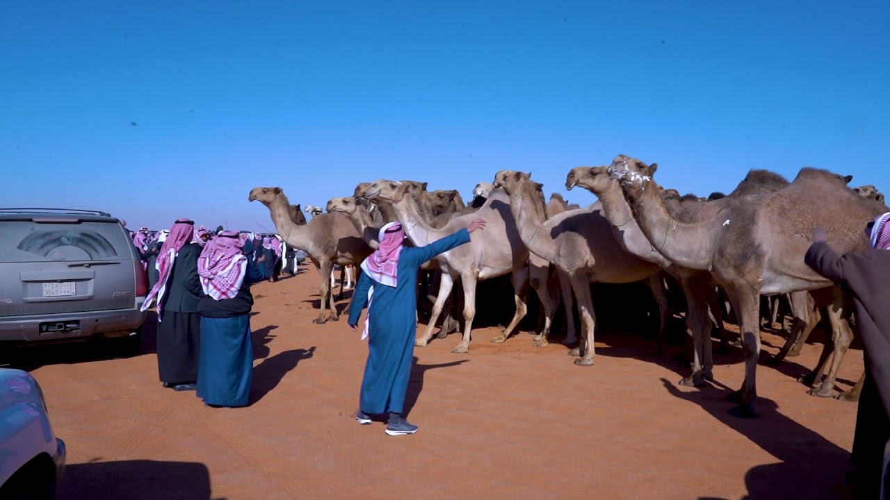 مسيرة سمارات للمالك رجل الأعمال حامد بن سعود بن سمار الكرشمي