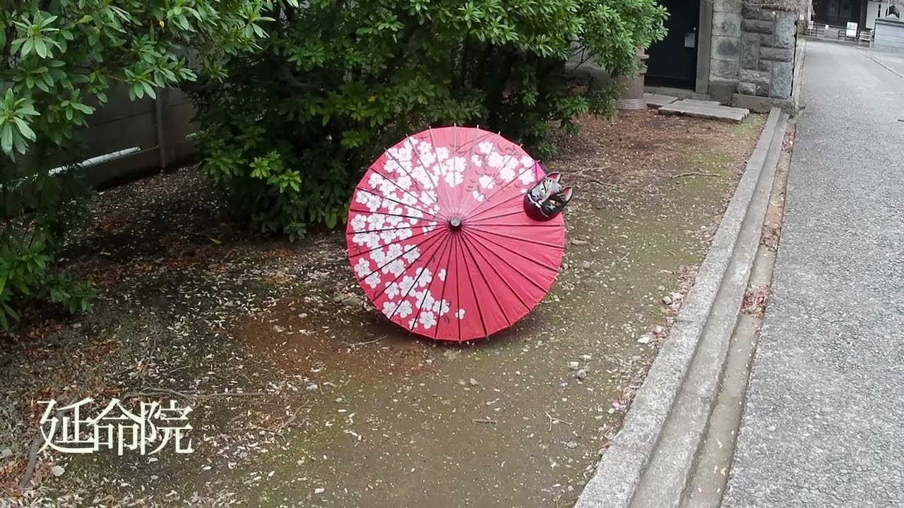 大田区小木中公園、南千住素盞雄神社、谷中銀座   4K
