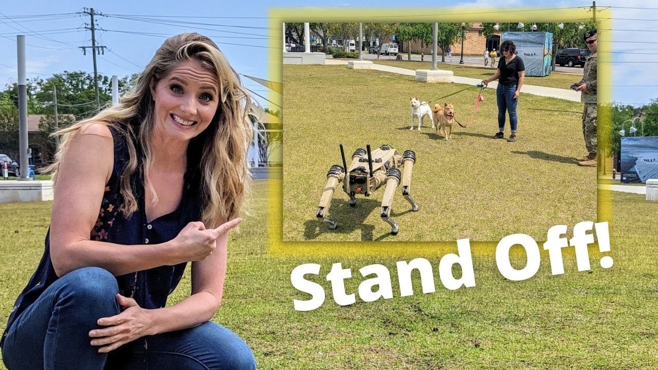 ROBO DOG MEETS REAL DOGS: Air Force Technology Mingles with Pensacola Locals