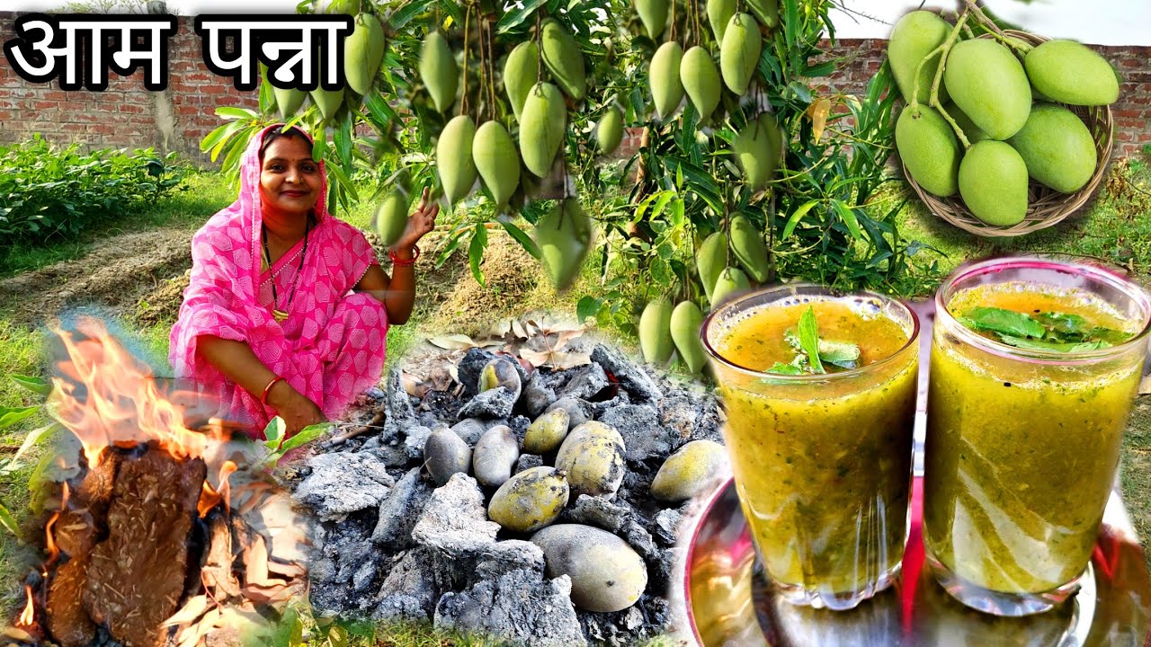 लू🌞गर्मी से बचने के लिए पेड़ के ताजे आम से बनाया दो तरह का लाजवाब आम पन्ना जो पेट में ठंडक पहुचा दे