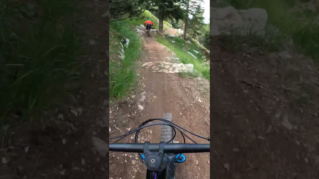 Supernatural, Dolomiti Paganella Bike  #iosonofreeride #mtb #trail #enduromtb #downhill