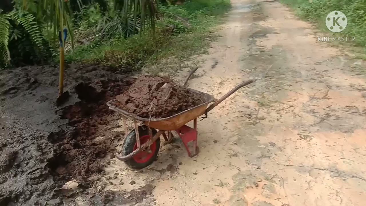 Cara Pemupukan Biar Sawit Besar dan Tanah menjadi subur.