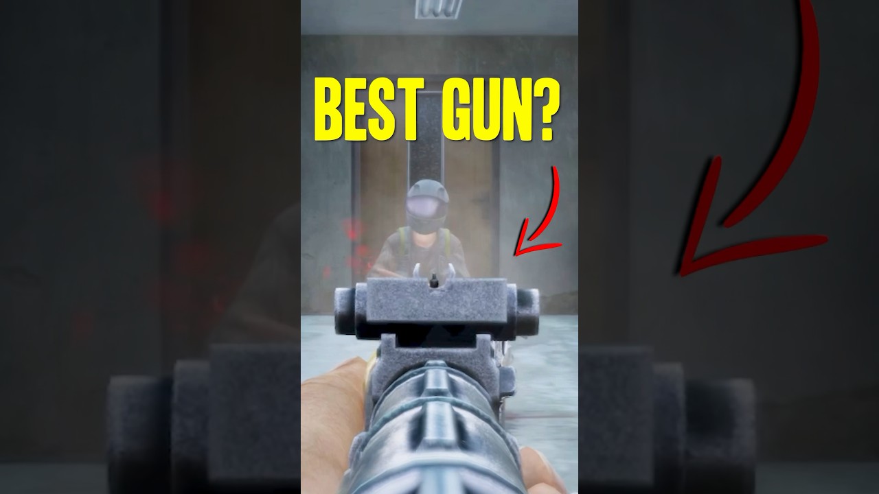 Is the AKM the BEST GUN? ✅