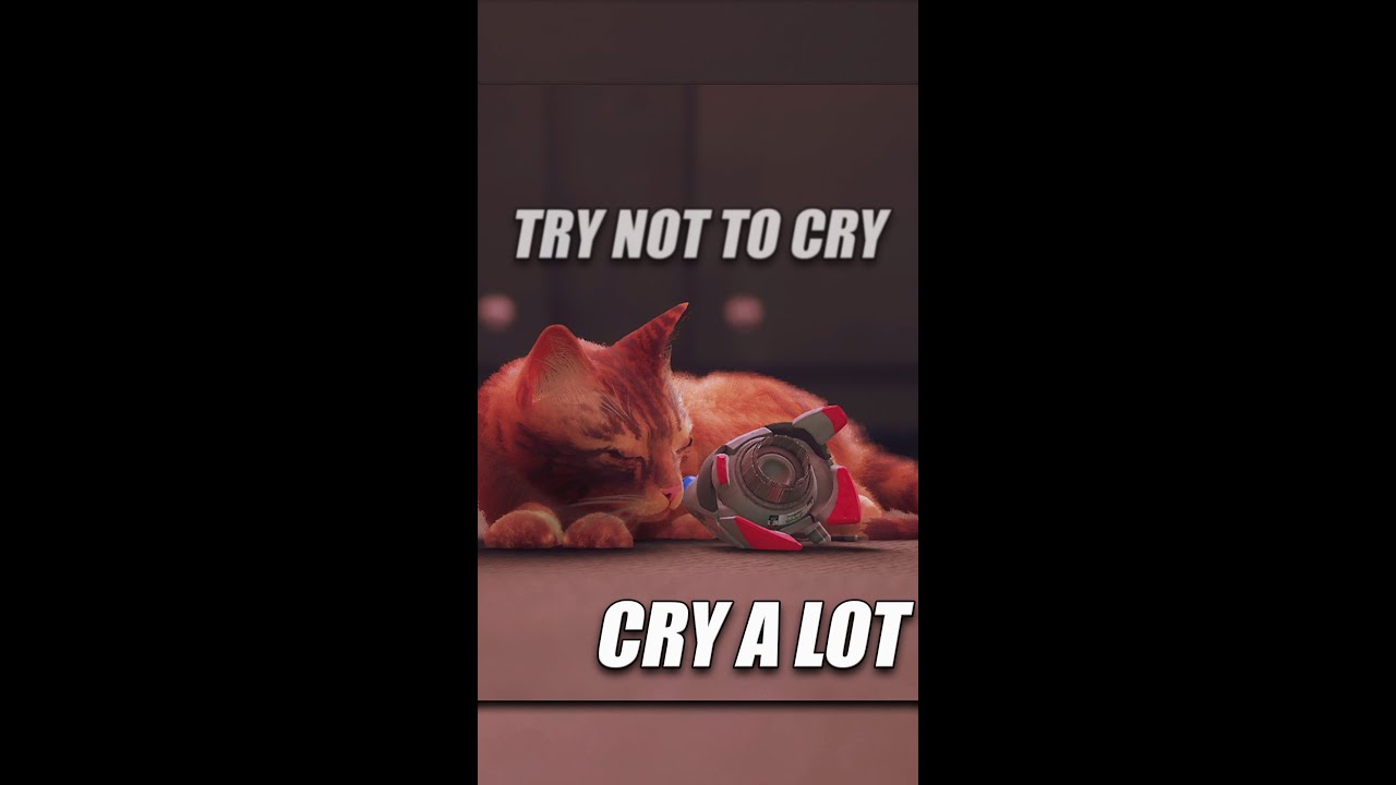 Сюжет &laquo;Бродяги&raquo; за одну минуту