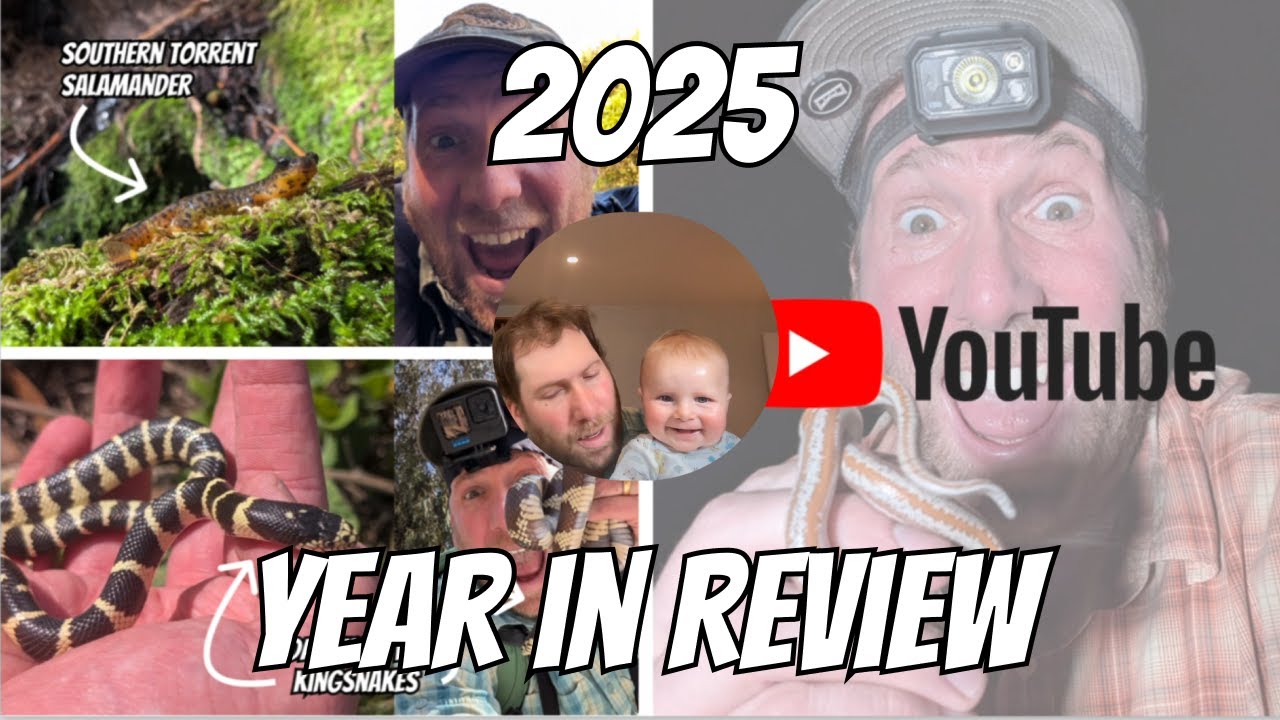 An Exciting New Team Member | 2025 Year In Review